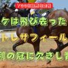 ニケは飛び去った　トレサフィール　勝利の冠に欠きし青玉